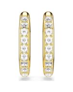 Swarovski kolczyki Dextera 5724584