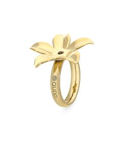 Pierścionek QUDO Pescia złoty 106009/41-1600_56