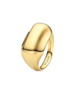 Pierścionek srebrny pozłacany Sif Jakobs Borsa Pianura SJ-R2621-YG-54